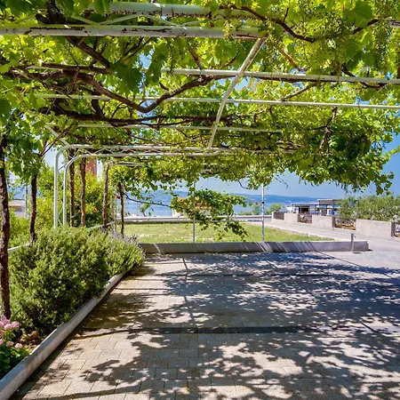 Апартаменти Felis Seaview By The -